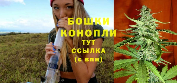 бошки Алексин