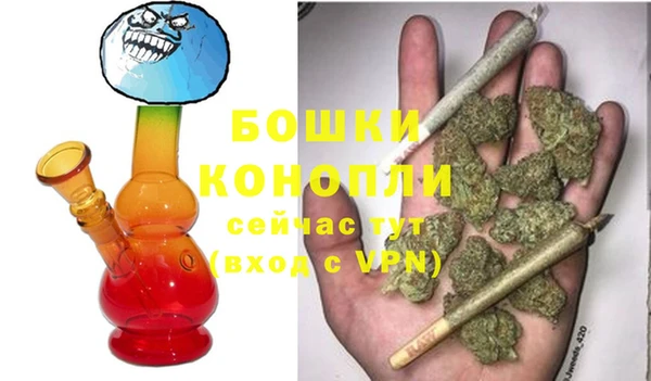 бошки Алексин