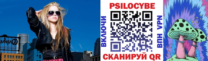 Псилоцибиновые грибы мицелий  даркнет сайт  ОМГ ОМГ ССЫЛКА  Красково 