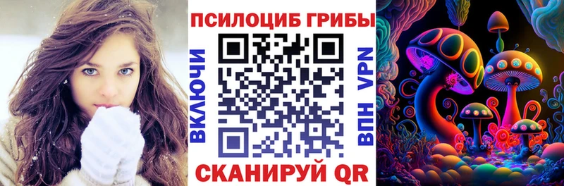 Галлюциногенные грибы Psilocybine cubensis Красково