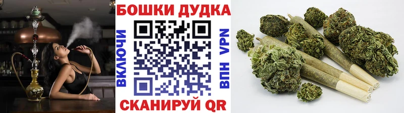 Бошки марихуана план купить наркотики цена блэк спрут ссылки Красково